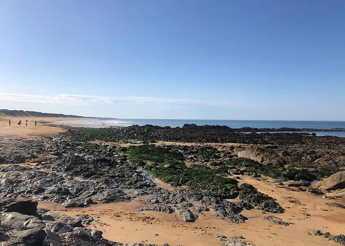 Maison 3 Chambres, Terrasse Et Piscine ブルティニョール・シュル・メール